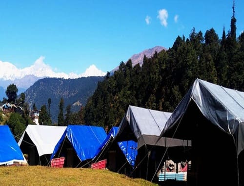 Buzz Eco Camp