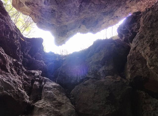 Eco Cave Gardens nainital